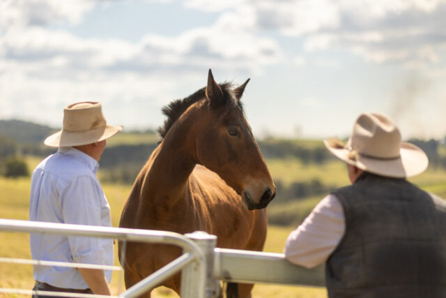 Benditi Yarrowitch 30 Of 189